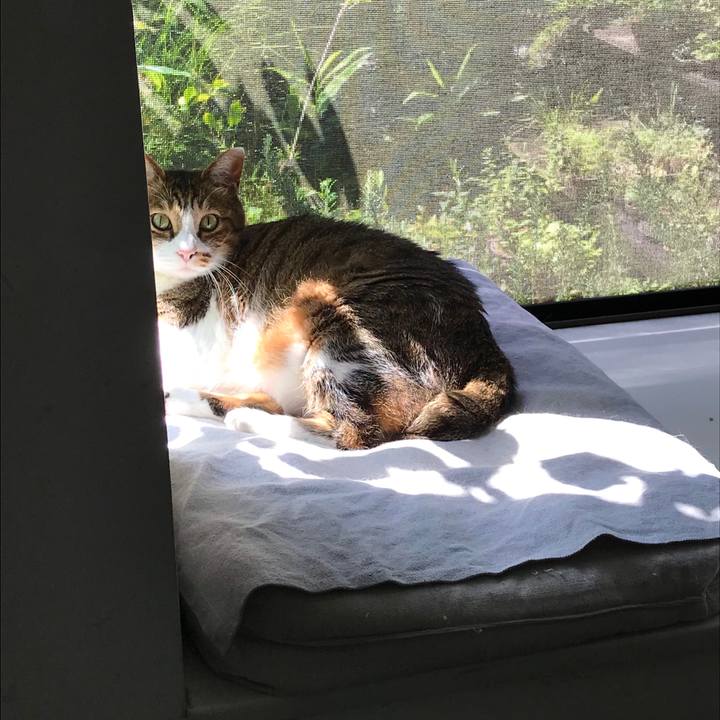 8b7ab4f6 687d 4a69 8e37 e8f27b9fb7c7 1595120540736