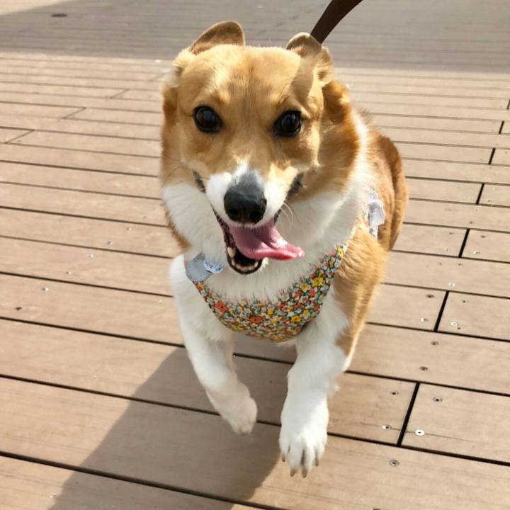 8b7adaf3 6806 4cf1 8eec b0aba7150751 1549604947662