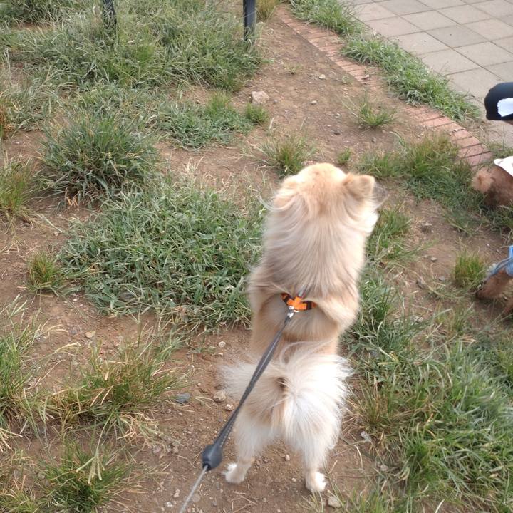 8b7b029c 25d3 4e66 89ef 3fbdd41ca635 1756348664601