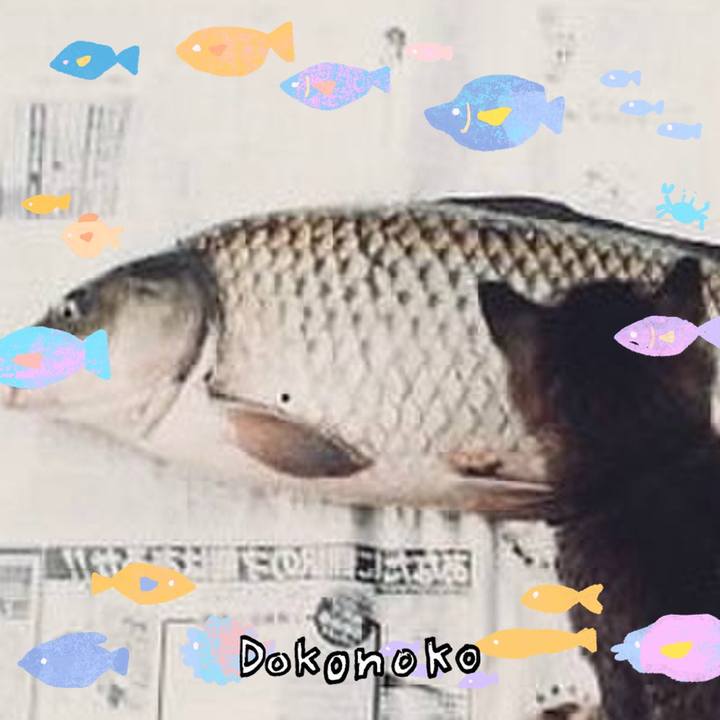 8b7b02dd 5436 439d bfcf 8efea1f05236 1755178109210