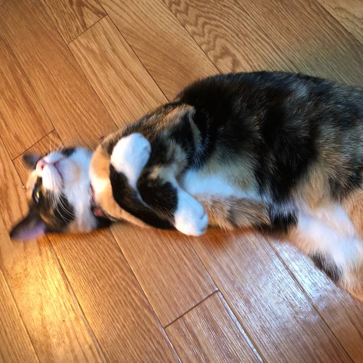 8b7b3254 1567 44f9 8529 b8cd59e831f1 1555417491516