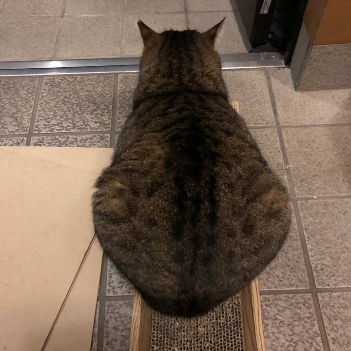 8b7b3fae abd9 49ac 8eac 2ff42c95a9c9 1579347674617