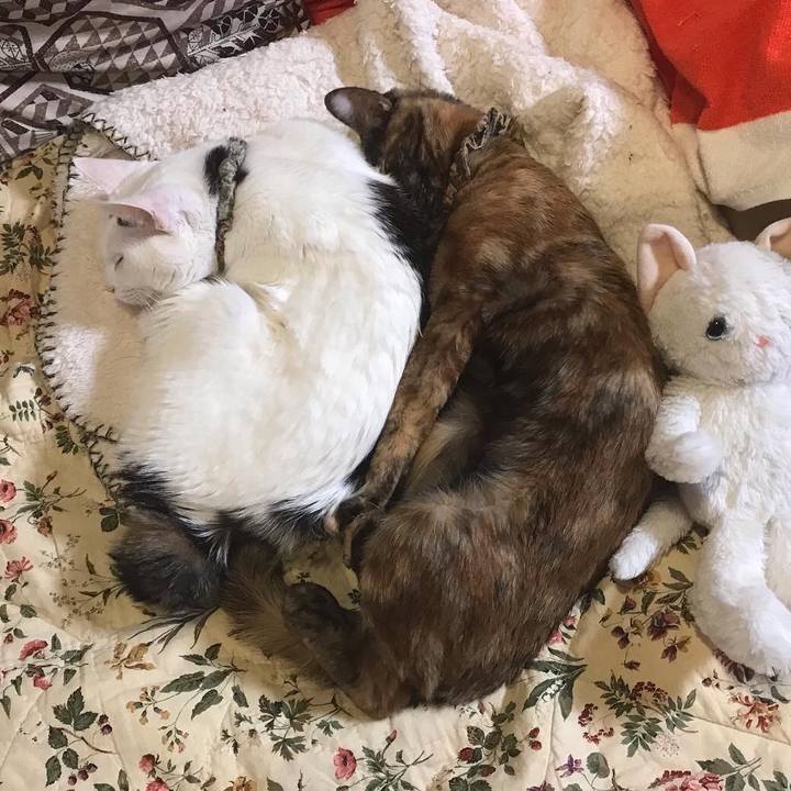 8b7b4a5b 5fa5 417a 9f88 af3e4cdd62e5 1662848021531