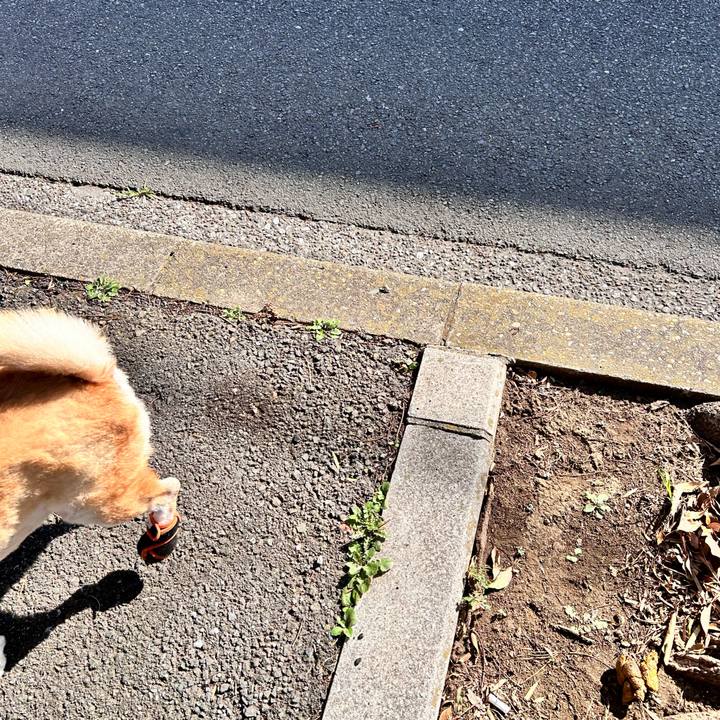 8b7b5515 9094 43d0 99a2 cb93d659dcc5 1753571689836