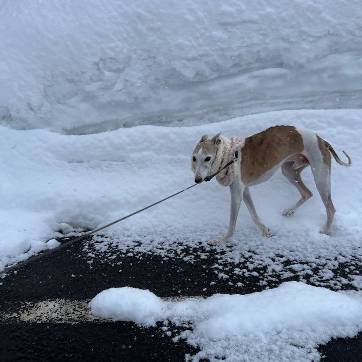 8b7b7274 11c4 46d8 98df d9d03b8fa06d 1770710972884