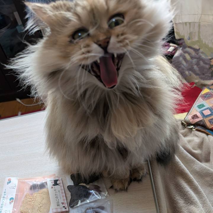 8b7b72d3 6118 41f9 99f4 582cb5e3eaa9 1740117273589