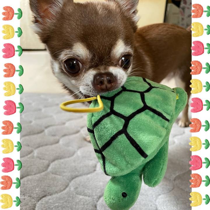 8b7b7685 e76e 4243 a6c9 ad375d52f314 1742884867637