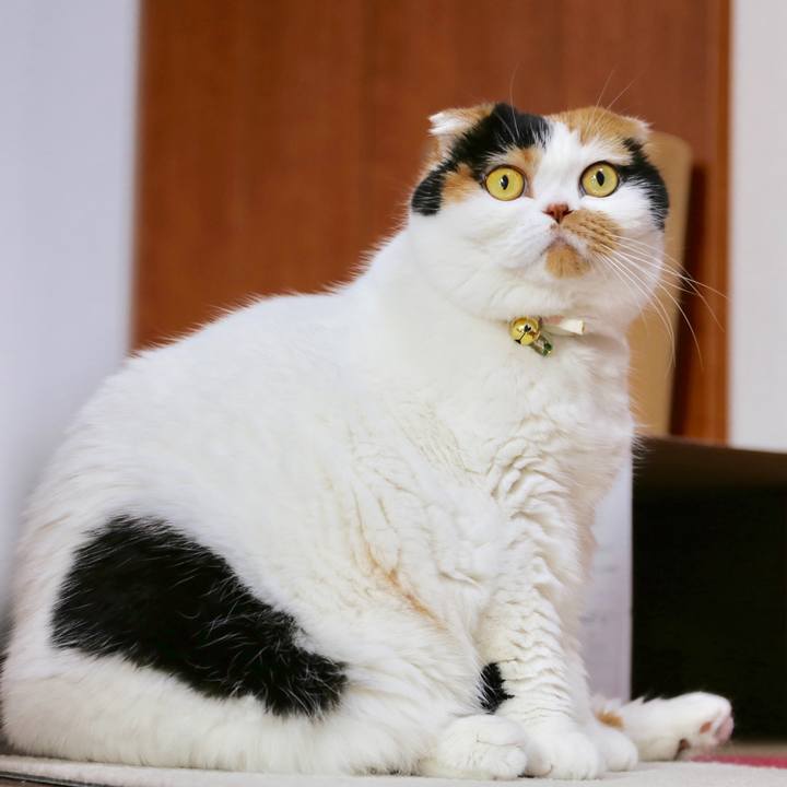 8b7b9be9 a8aa 46cc b5fc 0b52184a0508 1562552183333