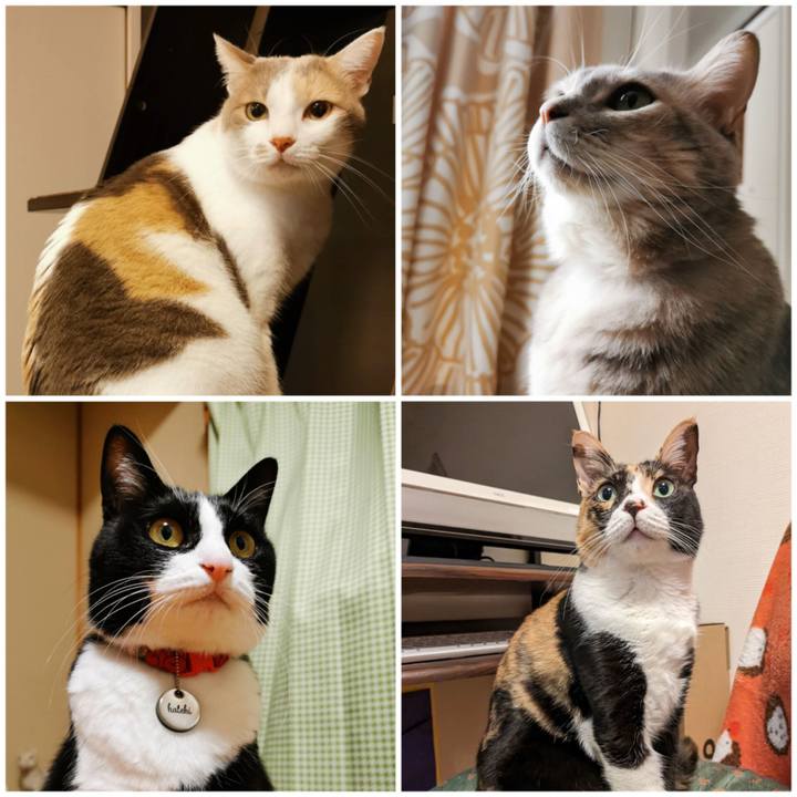 8b7bad82 3f35 49c9 8968 d4ddf93e9ada 1672457268496