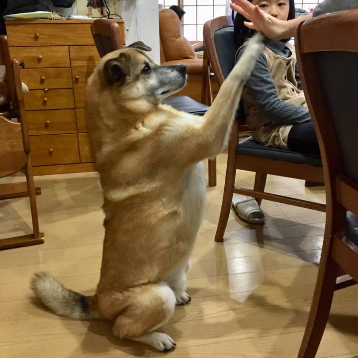 8b7bbb5f d4a2 43c2 b2fb ed6374e40079 1577664938281