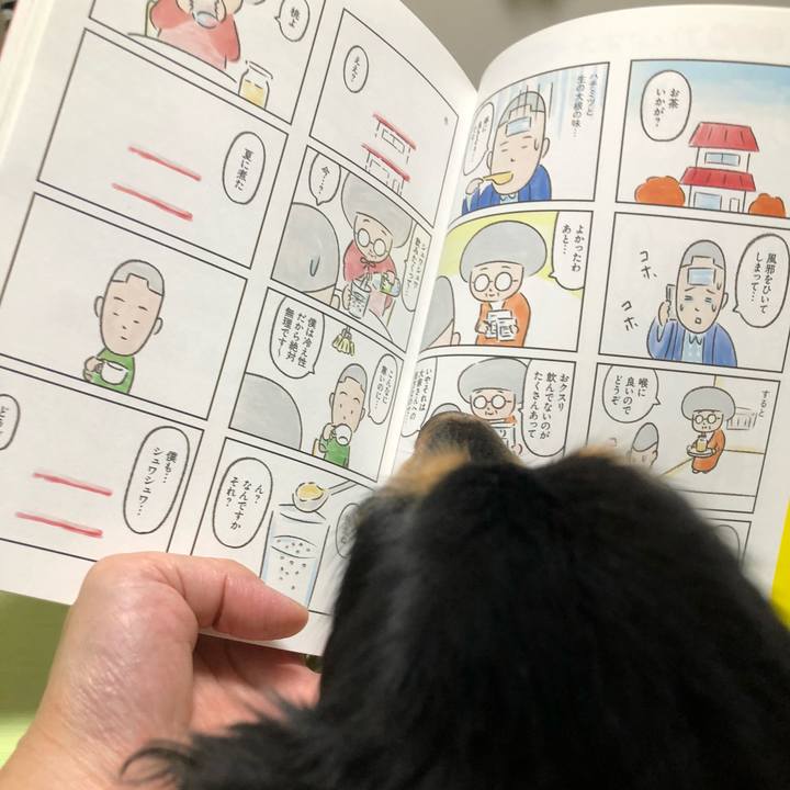 8b7c008a 1495 4766 a62f 0acaecf95bcf 1562665432067