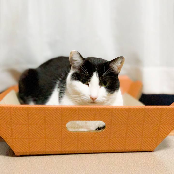 8b7c1639 8736 4e43 9045 d845641c601b 1583978777268