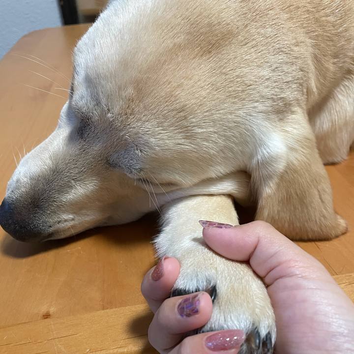 8b7c25d2 3a45 49e2 9f16 e3e921e4ac9c 1622211096601