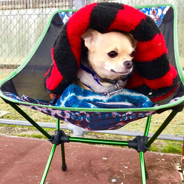 8b7c3cb1 e671 4f25 8ab7 239997d01681 1525399577402