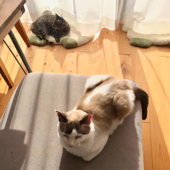 8b7c4645 522a 43a8 a265 c124dc79decb 1607067322921