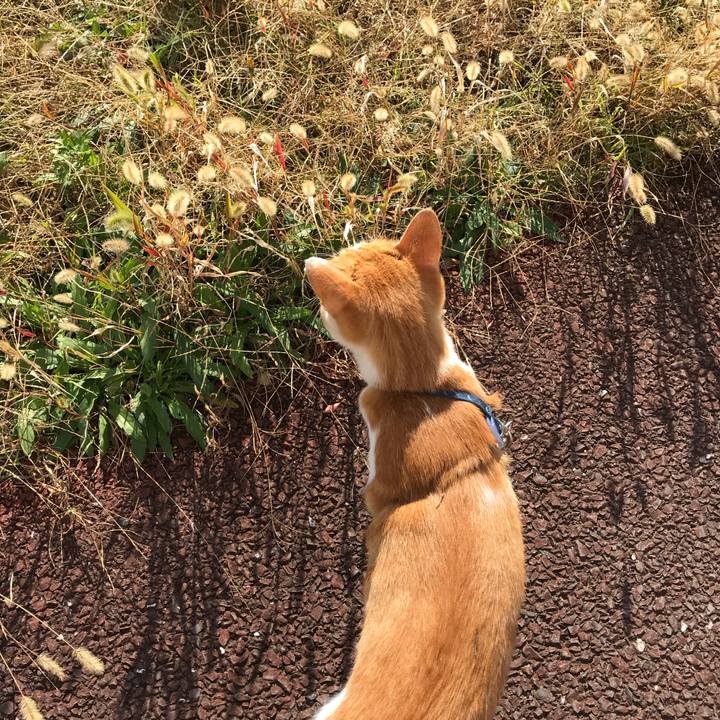 8b7c9af5 9e12 46f3 84ce 4542c837b8b8 1510811694130