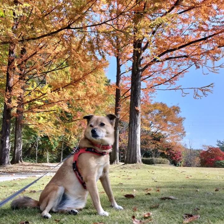 8b7d064c f0b4 4407 94f9 c2aed21dc68c 1762524562607