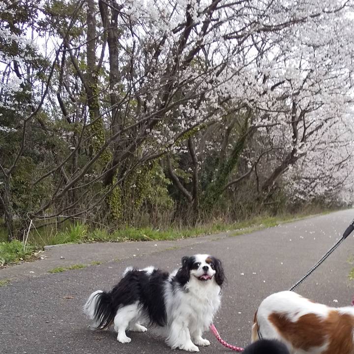 8b7d08fa 764c 4fac beea c4d5ba5ec71e 1586000547121