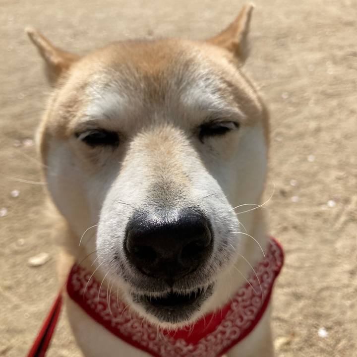 8b7d12f0 86ec 4e34 bf08 9efb84d76088 1617340826238