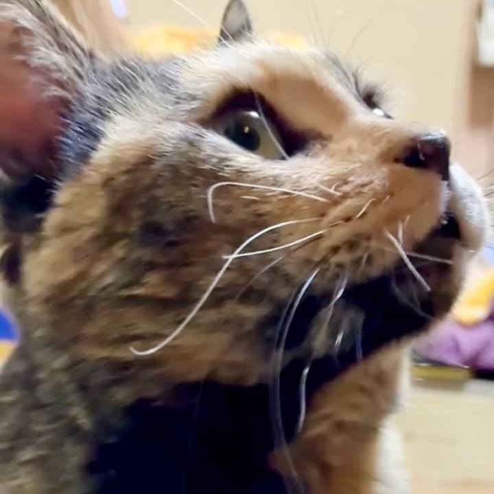 8b7d562a 6a80 439e 8fce 4c8bdc23cfdb 1768164803690