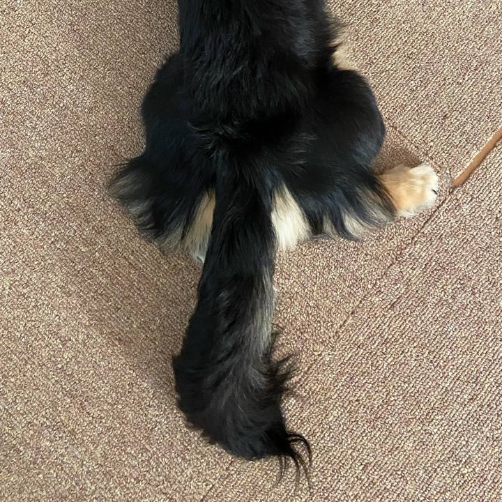 8b7d568e 29fd 4fcf 9a65 baa9419a56a9 1682984225728