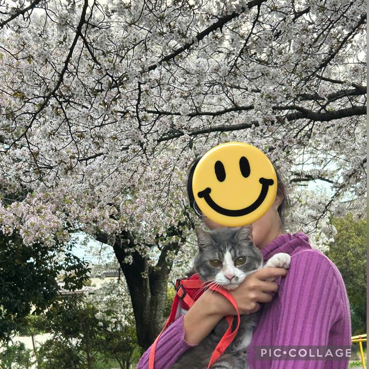 8b7d6454 c705 4fe5 a8ef 7eaf842811fe 1775657812061