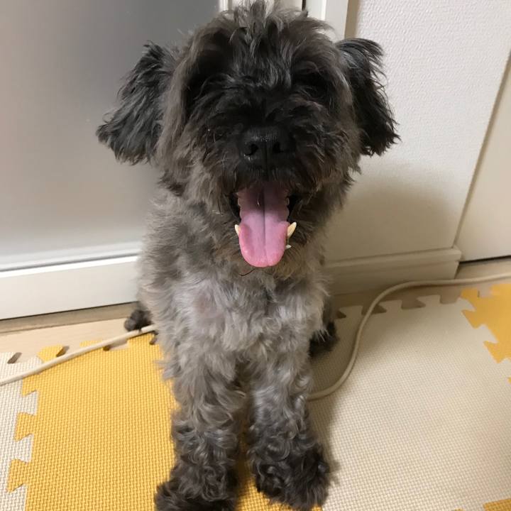 8b7d76d6 4dbf 4e1b 86d0 84bb27b3836f 1543763042346