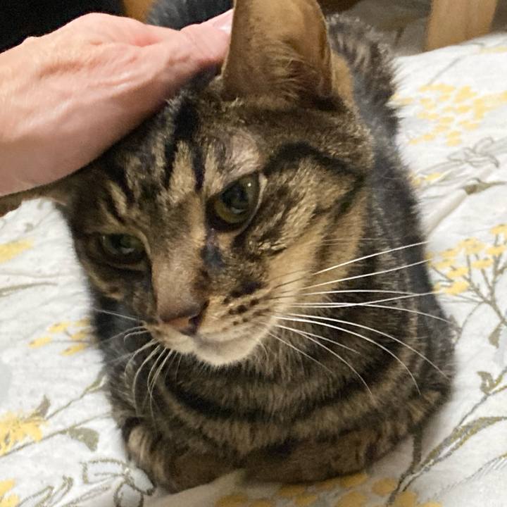 8b7d9905 3668 4e03 9ad9 afa44bb52f80 1707115117535