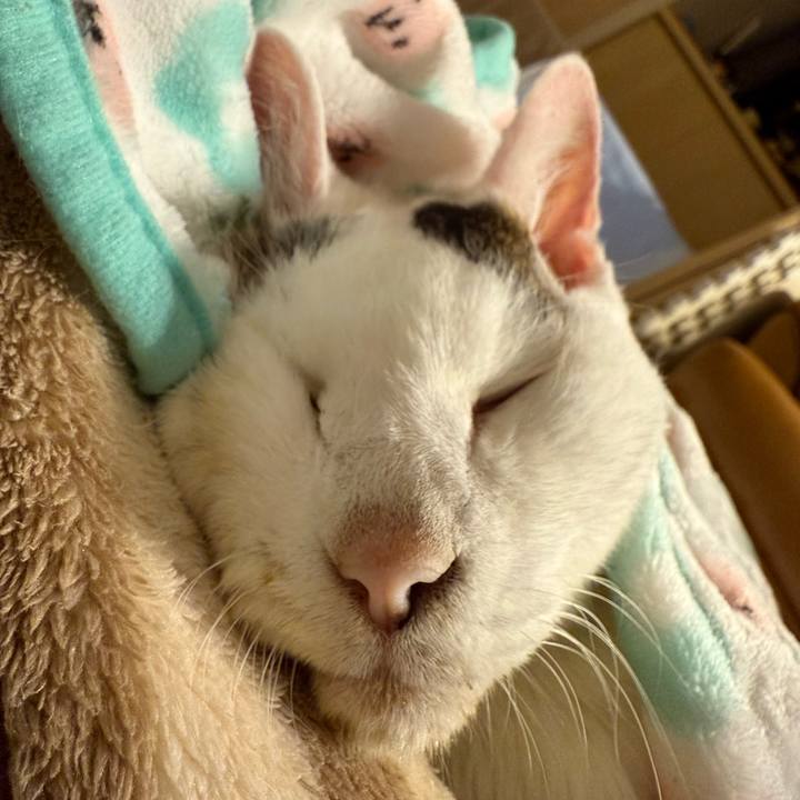 8b7d9f60 d5f0 46da 8e90 3dfc531e8a92 1763040812245