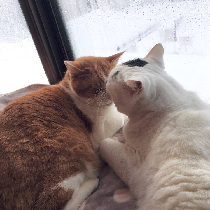 8b7dc570 043f 4209 a488 748f8b6f5ea6 1609408839396