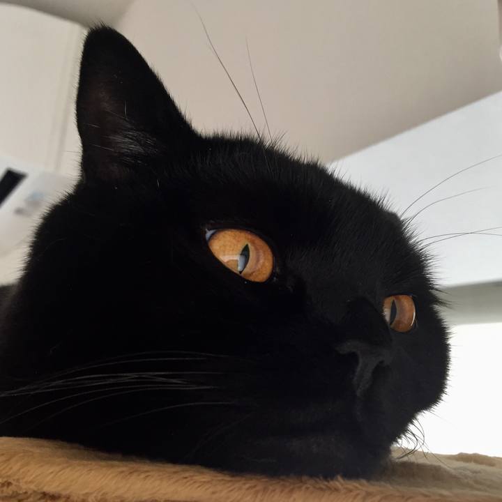 8b7dd030 77b2 443b b594 4de64890439e 1530429034963