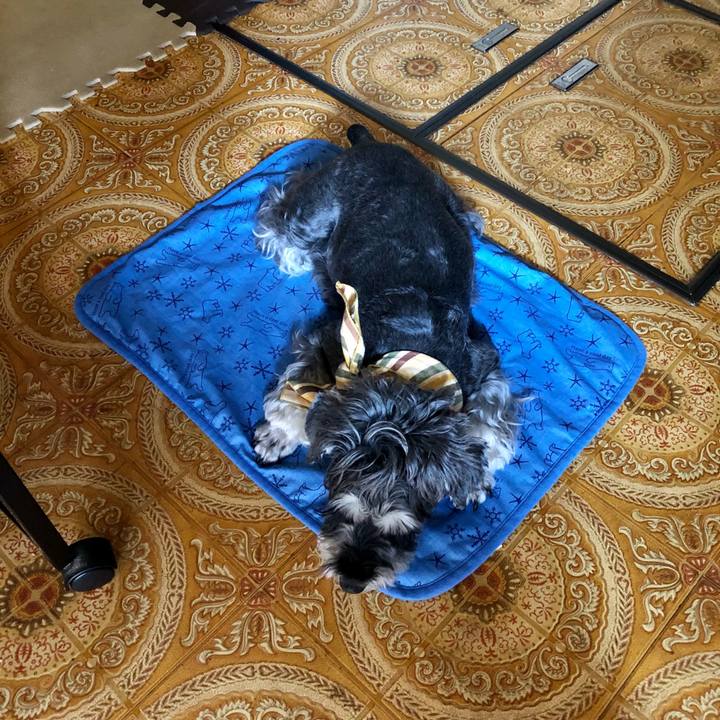 8b7dd518 e040 4376 9135 ad64c6711436 1657328775647