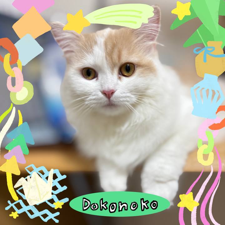 8b7dd979 48b2 48a3 b156 2a172ee70cfd 1755304872346