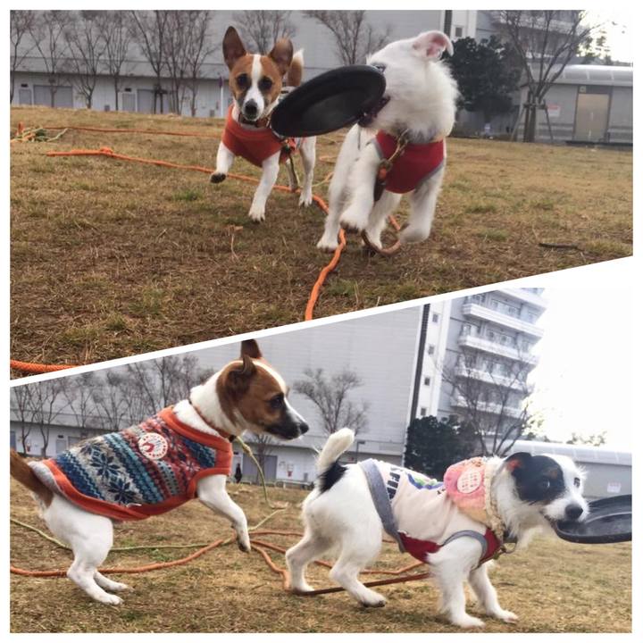 8b7de268 d1b0 4526 b90b a37f21d6076b 1578841460211