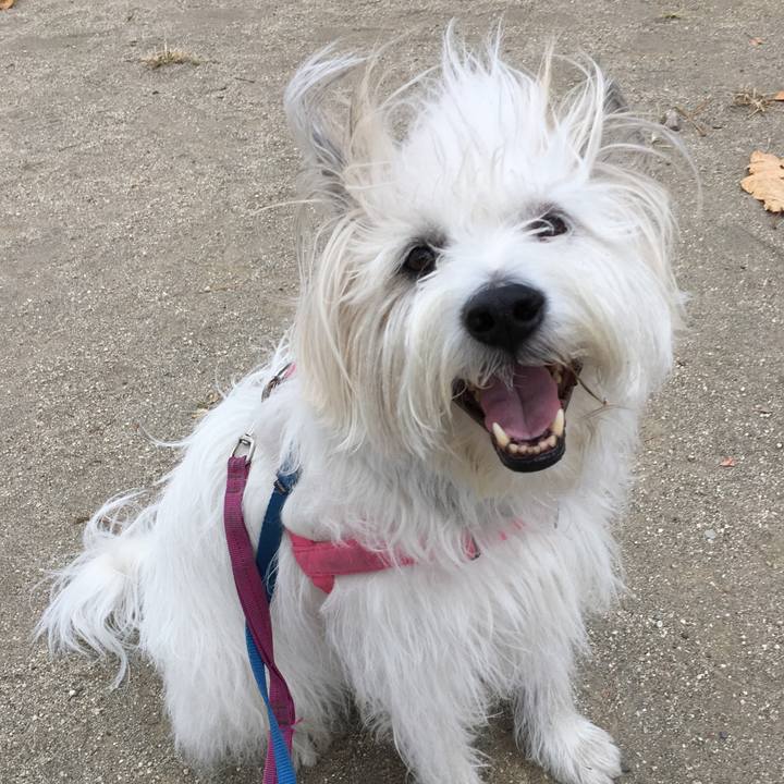 8b7de904 75ae 4182 b38a 86b3f21b4f25 1606211003119