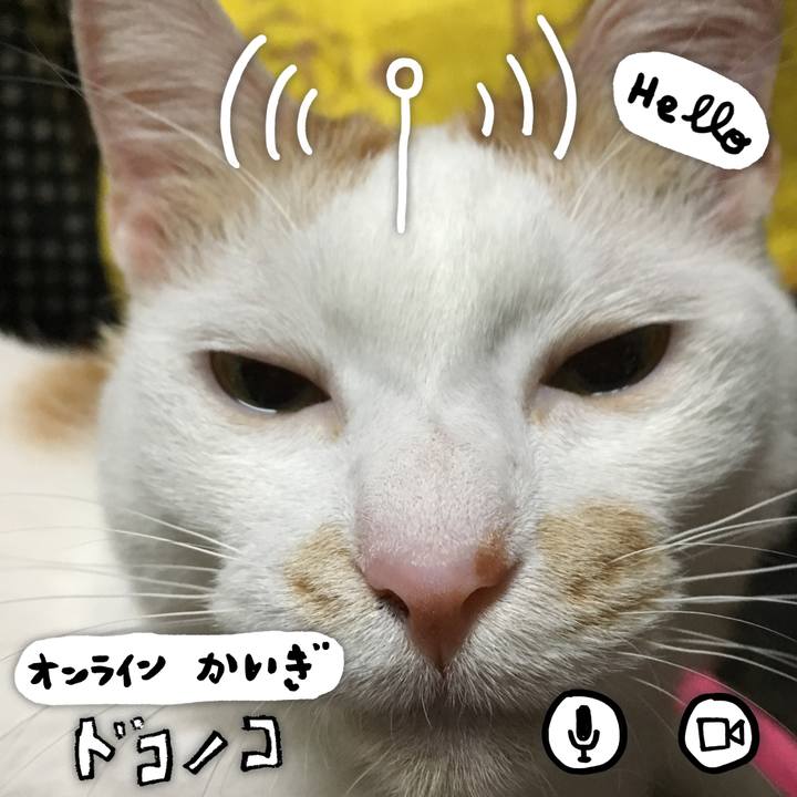 8b7e07c5 dc8e 4480 9438 12ad1ff970c8 1590787426620