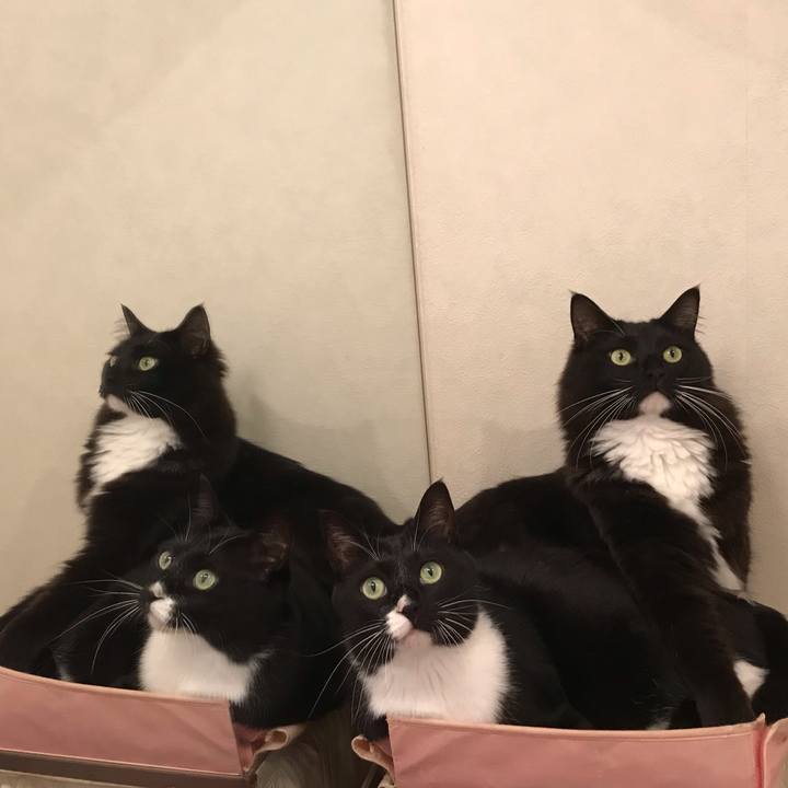 8b7e3d63 a755 4648 bd00 159c349c22e2 1557270809332