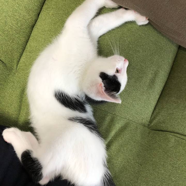 8b7e51df 6921 4af9 97c4 2ad8a9ebb31f 1529465596702