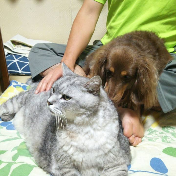 8b7e5668 88ae 4ed3 a0c7 914dd0c66988 1537016666529