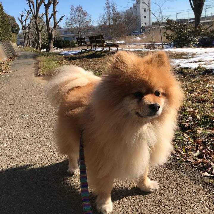 8b7e665d 2500 4496 9771 6a9ff1e3afd1 1516759173380