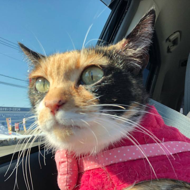 8b7e7c36 2cc9 4213 b88a 86da527dbcc4 1645838403703