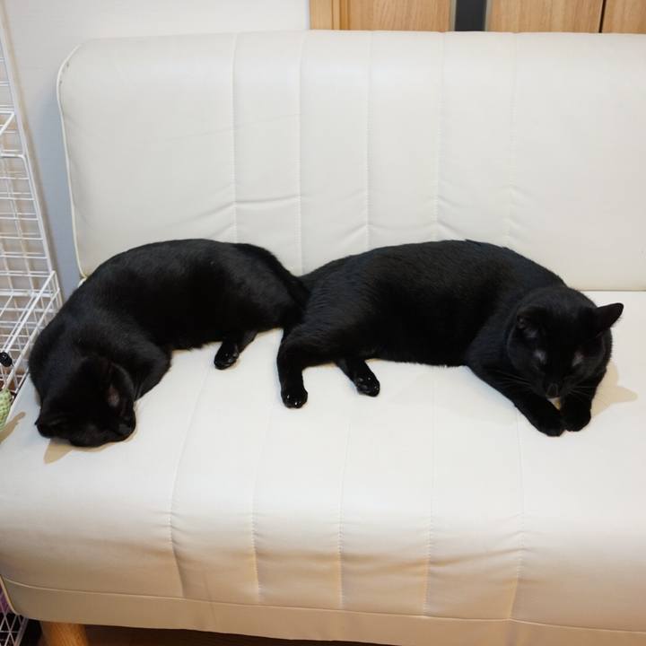 8b7e981e 84fb 48c5 8115 b4c556248109 1539214945724