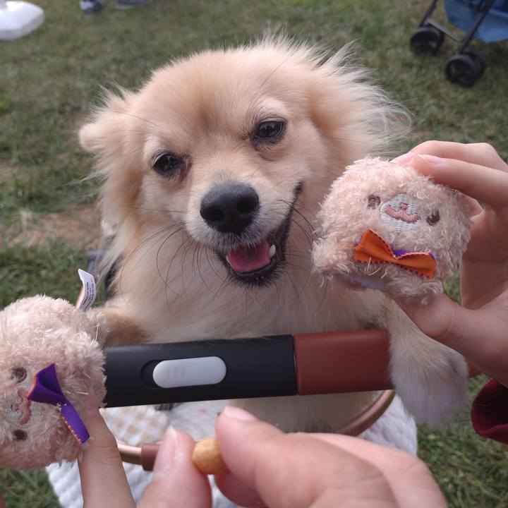 8b7ec9ca 85ea 498e 9096 6d04d8c8123d 1760315030310