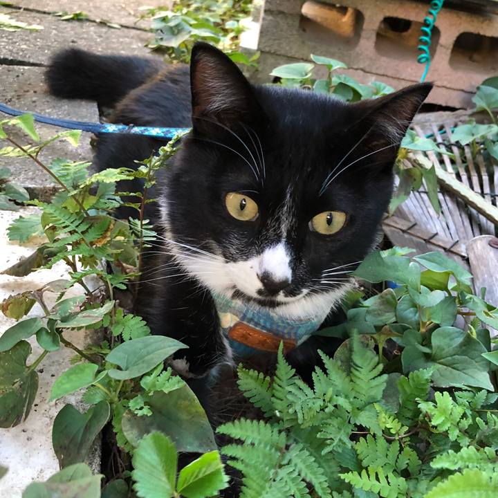 8b7eed9f 08ed 47eb 9c3e a7616fd093fe 1537096363752