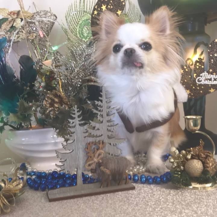 8b7efc65 277f 4afc 9c4a 672daa9fd3c2 1604835705793