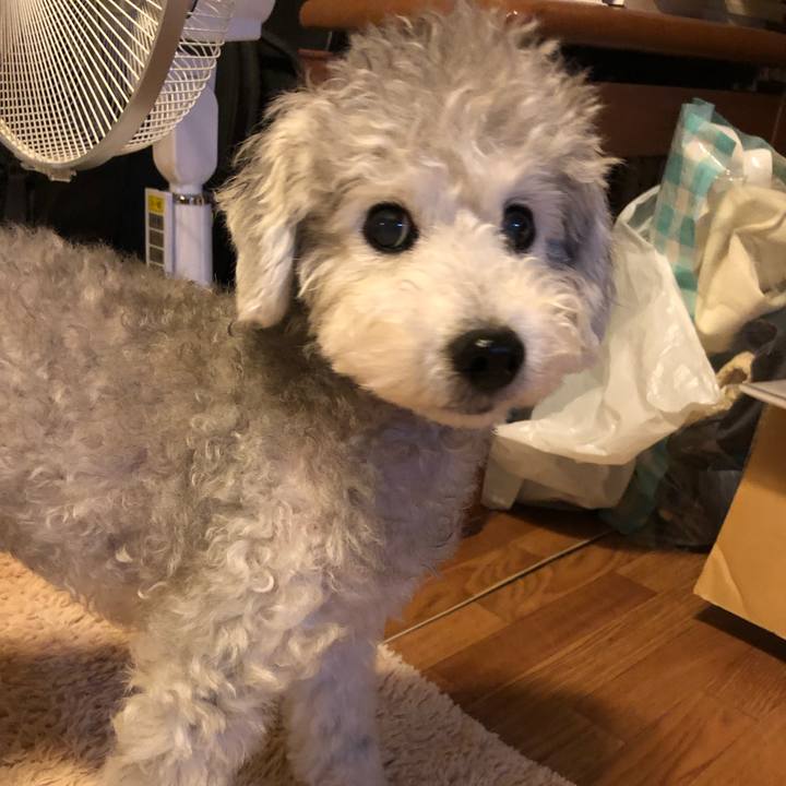 8b7f19bf b306 4e95 9e3e 889d81cb5381 1572833047502