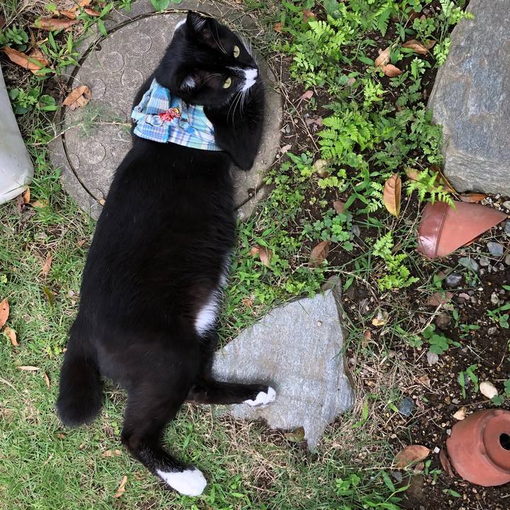 8b7f3b0e 4ee6 431e 9337 d32d84e4f9b4 1530157418063