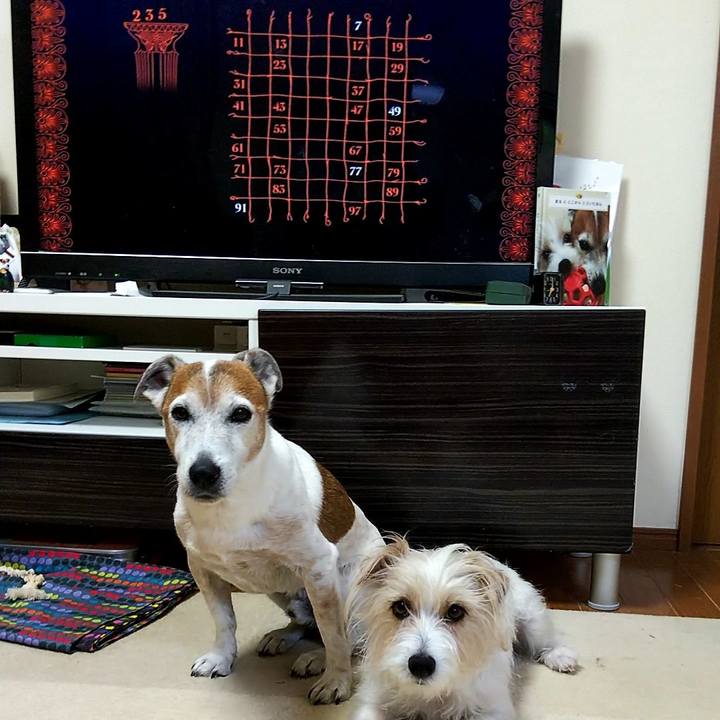 8b7f5e54 a503 4b4a 9773 9dc2d7a0c118 1558044658606