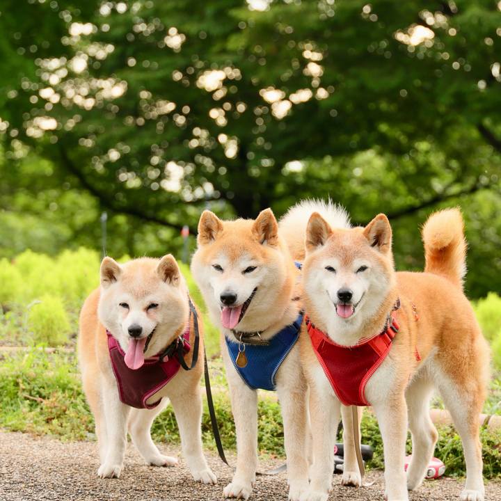 8b7f9496 59c2 4d2f aaf5 f0f1a6ccc203 1749648124954