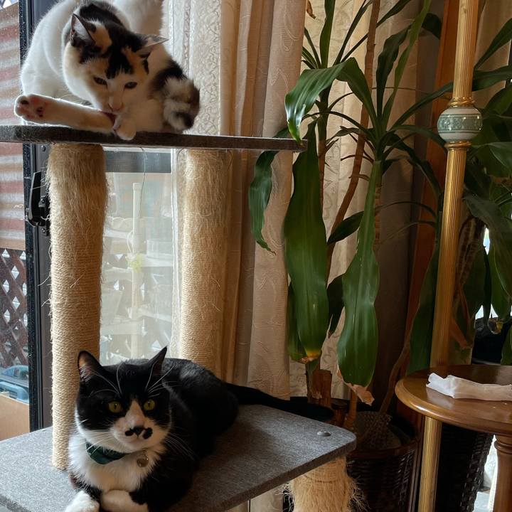 8b7fa348 1c95 48da bee4 51c4be8b8434 1737941953904